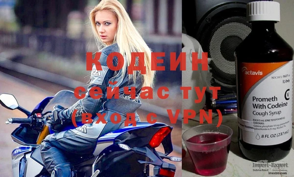 сатива Покачи
