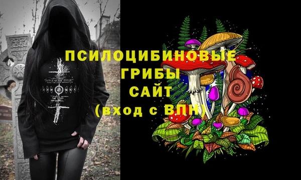стаф Белоозёрский