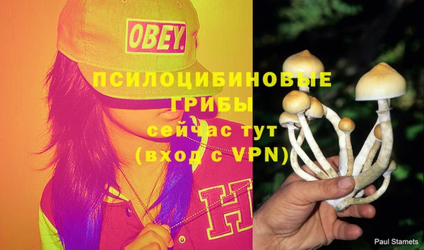 стафф Няндома