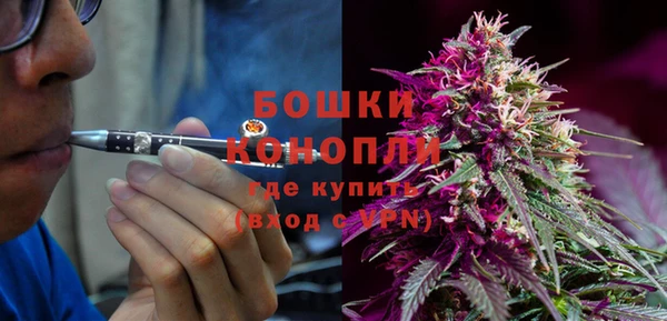 сатива Белокуриха