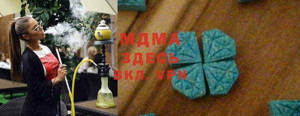 сатива Покачи