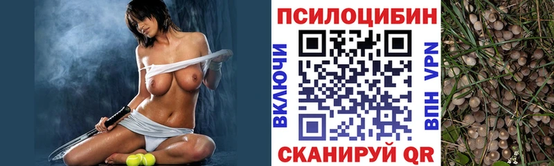 купить наркотики сайты  Южно-Сухокумск  Псилоцибиновые грибы GOLDEN TEACHER 